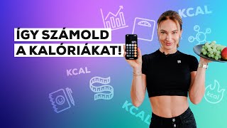 Kalóriaszámlálás könnyedén: Módszerek és eszközök, amik segítenek | BioTechUSA