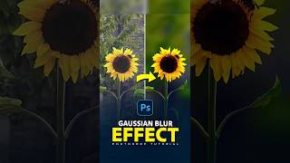 Mastering the Gaussian Blur Effect in Photoshop #photoshop #shorts #graphicdesign