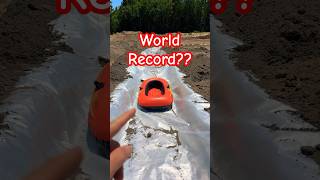 World Record Slip & Slide !!!🛝🤪💦