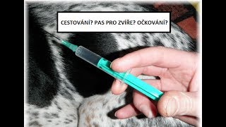 Cestování s domácími mazlíčky? Jak na to! 2017