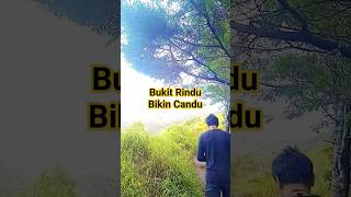 Bukit Rindu Bikin Candu