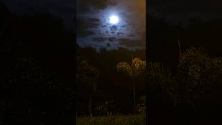 Noches lluviosas en Panamá. La Ermita de San Carlos. #TimeLapses