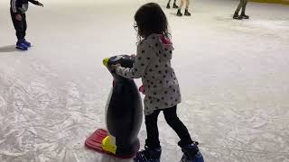 Do you want to try Ice Skating in Townsville?// Go to Warrina Ice Rink