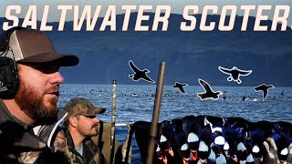 Oregon Coast SCOTER Hunting