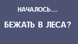 НАЧАЛОСЬ! БЕЖАТЬ В ЛЕСА?