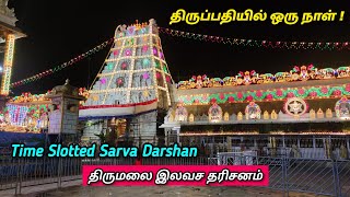 திருமலை திருப்பதி  இலவச தரிசனம் | Tirumala Tirupati SSD Free Darshan Tamil | TN 24