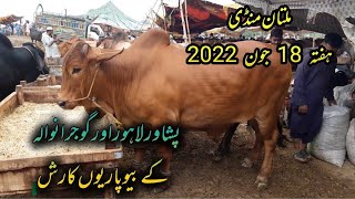 Saturday 18 June 2022 Multan Mandi update|| بارش کے باوجود منڈی میں رش