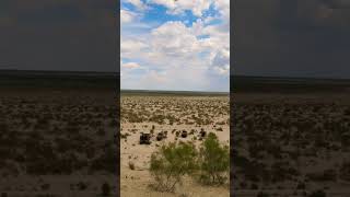 Aral sea #aralsea #nukus #travel #worldsolotraveler #solotraveler