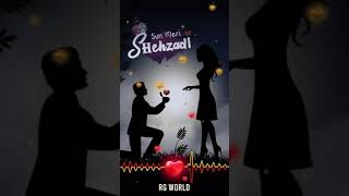 Love status |sun Meri shezadi song|