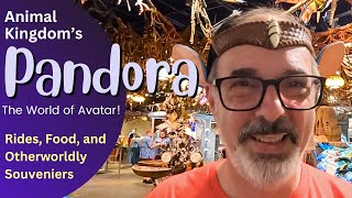 Pandora - The World of Avatar at Disney's Animal Kingdom