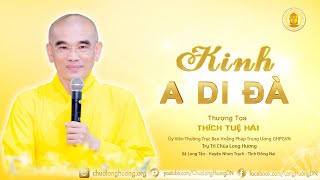 Kinh A Di Đà  4   - TT. Thích Tuệ Hải - Chùa Long Hương