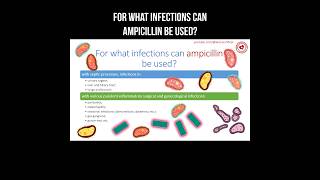 For what infections can ampicillin be used? #ampicillin #antibiotics #infection #therapy