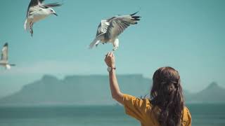 Hand feeding birds #shorts #shortsvideo #youtubeshorts #pets #birds #kanchipuram #cockatail