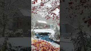 Weather of Nature  #reels #shortvideo #shorts #nature #weather #trending #viral