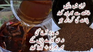 Black Gold Fertilizer for Plants | Liquid Fertilizer for All Plants | Bhurburi Mitti Kaise Banae?