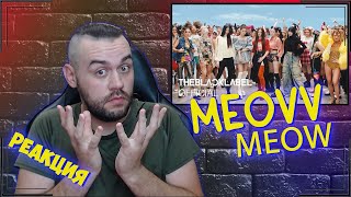 Реакция на MEOVV - ‘MEOW’