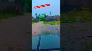 ముసురు ముసురు పట్టే వాన☔ #rainyday #song #viral #trending #village #villagelife #rainyseason #shorts