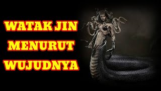 Watak jin menurut perwujutanya