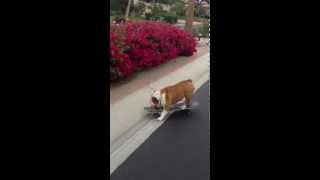 Maggie Skateboarding in Desert