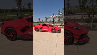 Just another walk in the park #corvette #c8 #car #cars #short #shorts #viral #chevy