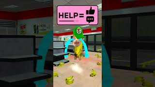 HELP Bananacat Choose #gmod 😺🍌