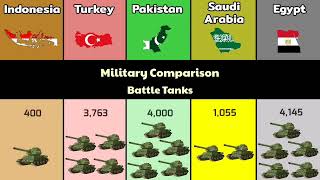 Indonesia vs Turkey vs Pakistan vs Saudi Arabia vs Egypt  Who is the Strongest islamic Country  DD