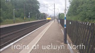 Trains at: Welwyn North, ECML 13/07/24