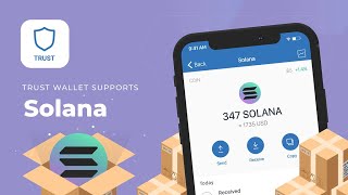 Solana Coin - FULL REWIEV (Buy Now Coin)