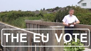 Beach Walk Insights: The EU Vote