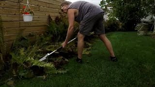 Early Fall Cleanup of a small yard