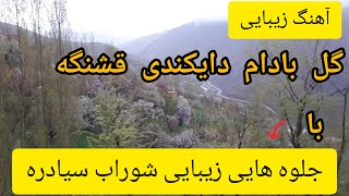 آهنگ گل بادام دایکندی قشنگه با جلوه هایی زیبایی از قریه شوراب سیادره