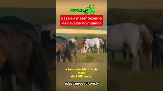 A maior fazenda de cavalos do mundo fica na China! #agro  #agropecuaria  #agriculture