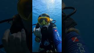 Female scuba diver takes out her regulator and points at her tongue underwater