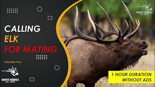 AWESOME SOUND CALLING ELK FOR HUNTING OUTDOOR