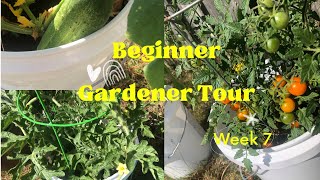 STARTING A BEGINNER GARDEN IN CONTAINERS #containergardening #garden #gardening