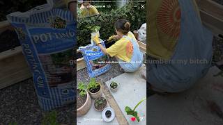 Chloe Bennet’s new story gardening