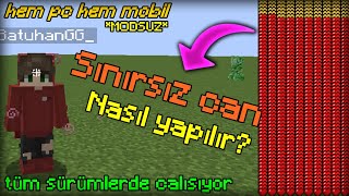 Sonsuz kalp nasıl yapılır? (ölümsüz oldum) - Minecraft Sınırsız Can Kodu