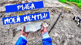 Фидер на Иртыше.ВОТ ЭТО ЯЗЬ!!!Крупный лещ!Рыбалка в Казахстане!