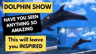 Be inspired to be Awesome by this spectacular DOLPHIN Show