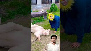 Lion 🦁 dar gaya | #lion #tiger #cat #catlover #catshorts #pets #pet #animals #dog #funny #comedy