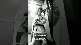 Naifanchi punching sistem. Kyudokan Shorinryu.