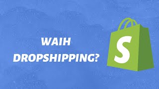 Why dropshipping?