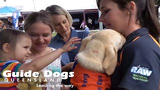 Guide Dogs Queensland Picnic with a Guide Dog 2014