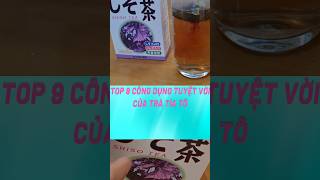 Top 9 Công Dụng Tuyệt Vời Của Trà Tía Tô#biquyetsongkhoetre #shortsvideo #food