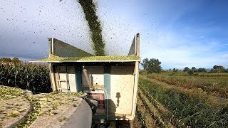 Fendt 718 Vario Loading Mais with John Deere 9900i - Mais Harvesting 2024