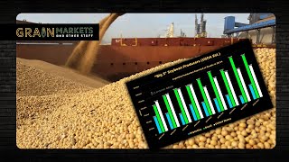 US Continues to Lose Soybean Export Share