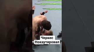 Черкес нокаутировал #ufc #sports #fight #ufc286 #черкес #черкесы #карачаевочеркесия #нокаут