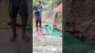 Fisherman Cast Net Fishing Real Life Amazing Fishing At Countryside.(Episode 195)