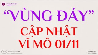 "VÙNG ĐÁY" - CẬP NHẬT VĨ MÔ NGÀY 01/11 || HẢI NAM DIA