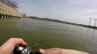 Early Spring Fishing Conowingo Dam